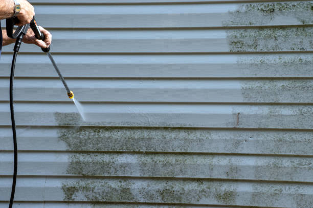 Best Siding for New Construction  in Waterford, WI