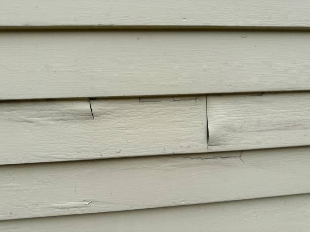 Waterford, WI Siding Installation & Repair Company